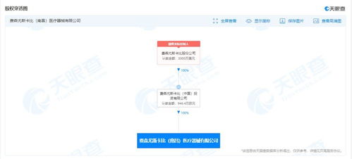 信息咨詢服務(wù) 連接知識(shí)與決策的橋梁